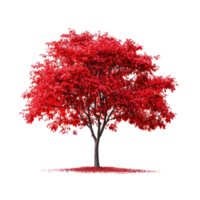red tree on transparent background png