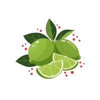 Fresh Green Limes and Lime Slices with Leaves Illustration vector