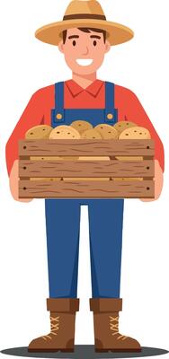 A smiling farmer in a straw hat holding a wooden crate filled with freshly harvested potatoes in a flat illustration