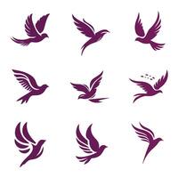Feathers in the Wind Flying Bird Collection Logo Design vector