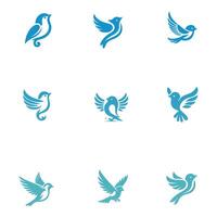 Best Sparrow Collection Design vector