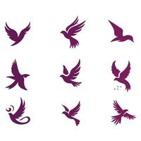 Feathers in the Wind Flying Bird Collection Design vector