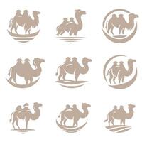 The Camels Journey Collection Logo Design vector