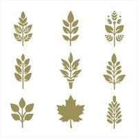 Autumn Spice collestion design vector