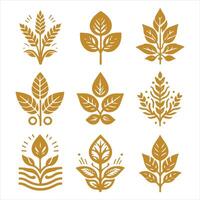Crimson Fern collestion design vector
