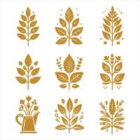 Rustic Roots collestion design vector