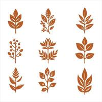 Autumn Ferns collestion design vector