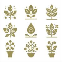 Harvest Blossom collestion design vector