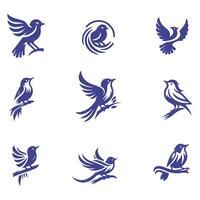 Swift Flight collection logo design vector