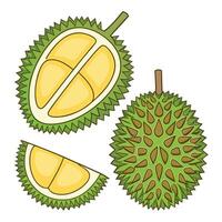 durian fruitbackground illustration white background vector