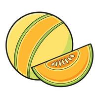 a melon and a slice of it are shown vector