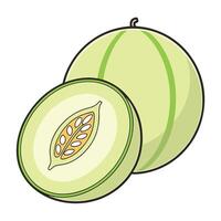 a melon is shown with a cut in half vector