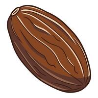 a single almond nut on a white background vector