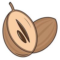 almond nut white background illustration vector