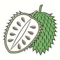 a durian fruit is shown on a white background vector