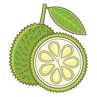 a durian fruit with a slice cut off and a leaf vector