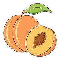 a peach with a leaf and a half cut off vector