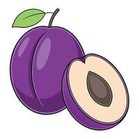 a purple plum fruit with a leaf on , vector