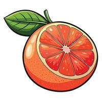 an orange with a leaf on it white background vector