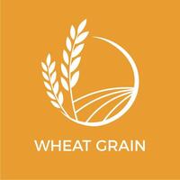 White wheat grains growing in a cultivated field, enclosed within a white circle on an orange background, represent the essence of agriculture and food production vector