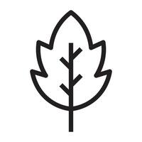 Leaf icon with branch veins, nature and eco symbol, black and white illustration isolated on white background vector