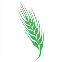 A green wheat leaf icon on a white background vector