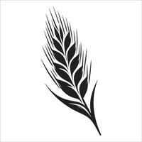 A wheat ear on a white background vector