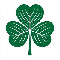 A four leaf clover is shown in green on a white background vector