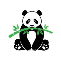 Panda bear holding bamboo branch on white background vector