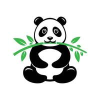 Panda bear holding bamboo branch on white background vector