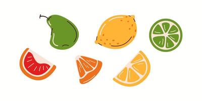 Flat illustration of different citrus fruit slices including grapefruit, orange, lemon, and lime. Simple modern fruit representation. vector