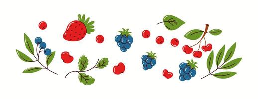 Illustration of various berries including strawberries, blueberries, cherries, and leaves in a flat design. A fresh and natural composition. vector
