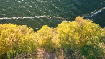 Yellow trees waterfront adorned by the sparkling waves of river. Wind blowing across the water surface and tree leaves. Top view. video