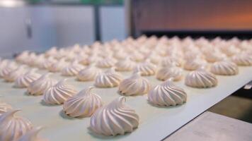 Finished marshmallow zephyr moves along a conveyor line. Ready-made sweets at the confectionery factory production. Close up. video