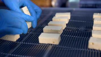 White creamy sweets being laid on the conveyor grate by the worker's hands in gloves. Candies move quickly on the conveyor to go under the next procedure. Close up. video