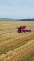 Aerial view. Combine harvester working on sunny summer day. Harvest time. Agricultural sector Vertical video