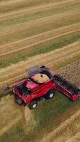 Wheat Harvesting. Combine harvester working on sunny summer day. Aerial view. Vertical video