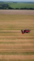 Aerial view. Combine harvester working on the wheat field. Wheat Harvesting. Vertical video