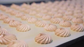 Ready-made creamy marshmallows move by the conveyor belt into the dryer. Marshmallow production on the confectionary factory. Close up. video