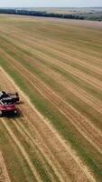 Harvester machine working in field. Combine harvester agriculture machine harvesting golden ripe wheat field. Agriculture. Aerial view. From above. Vertical video