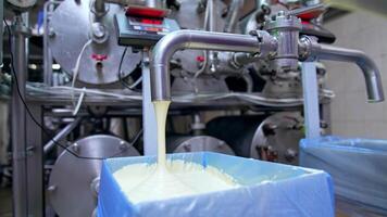 Liquid butter pouring into a large box. Use of spatula to flatten the dairy product in the container. Factory worker holding his hand at the faucet to stop the flow of butter. video