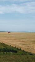 Aerial view on the combines and tractors working on the large wheat field. Wheat Harvesting. Grain harvesting combine Vertical video