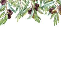 Depiction with Aquarelle Olive Branches hanging from The Top. Dark olives on the twigs png