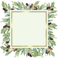 Square Card-frame with olives Twigs png