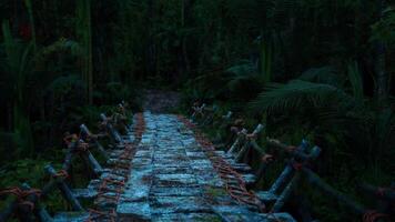 Pathway through the lush Colombian jungle at dusk with tranquil atmosphere video