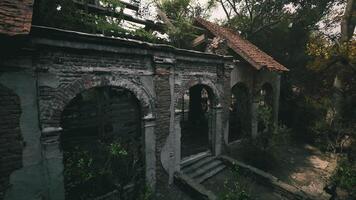 Abandoned structure overgrown with plants in a quiet forested area video