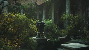 Moss covered stone fountain surrounded by overgrown greenery at a secluded site video