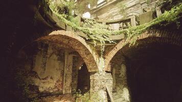 Exploring the ruins of an abandoned building with overgrown vegetation video