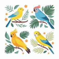 Cockatoo parrot sitting on brunch. Colorful exotic bird with orange crest in cartoon style illustration on white background. vector