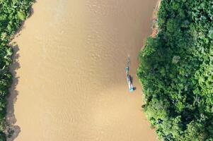 aerial view using a drone of the jungle of Borneo photo